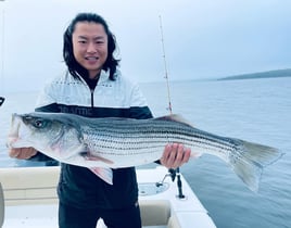 Striper and Bluefish Trip