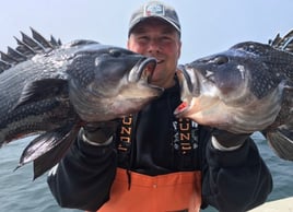 Cape Cod Black Seabass and More