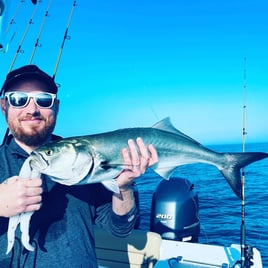 Bluefish Fishing in Bourne, Massachusetts