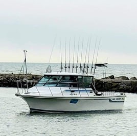 Lake Erie Mixer-Upper - 30' Baha