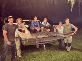 10-11' Central Florida Gator Hunt