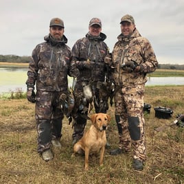 Coastal Bend Teal Assault