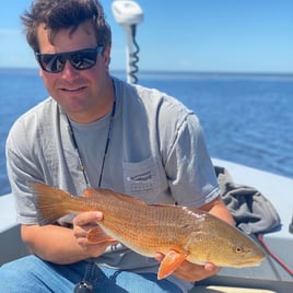 Redfish Fishing in Swan Quarter, North Carolina