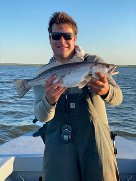 Speckled Trout Fishing in Swan Quarter, North Carolina