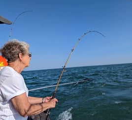 Lake Erie Caster - 37' Pace