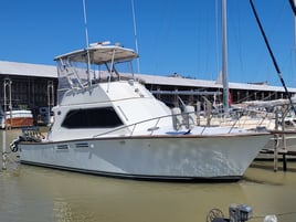 Lake Erie Caster - 37' Pace