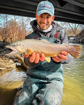 "Pennsylvania Pigs" on Light Tackle