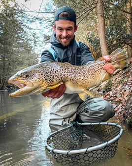 "Pennsylvania Pigs" on Light Tackle