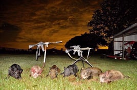 Houston Area Thermal Hog Hunt