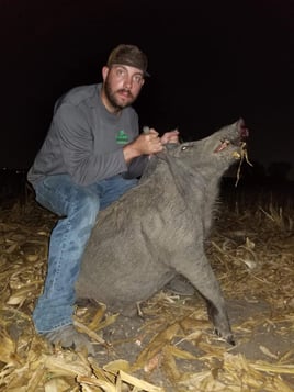 Houston Area Thermal Hog Hunt