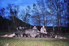 Houston Area Thermal Hog Hunt