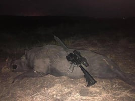 Houston Area Thermal Hog Hunt