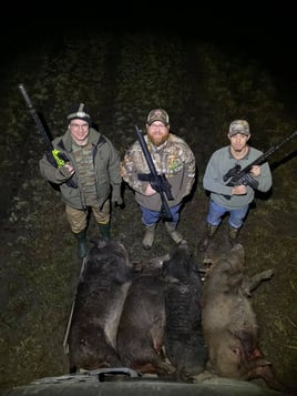 Houston Area Thermal Hog Hunt