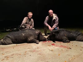 Houston Area Thermal Hog Hunt