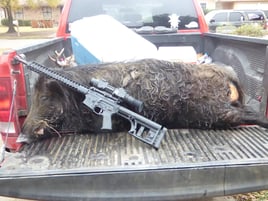 Houston Area Thermal Hog Hunt