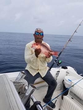 Bottomfishing/Trolling Combo