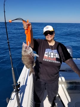 Bottomfishing/Trolling Combo