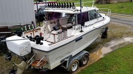 Lake Erie Steelhead on the Fly