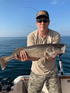 Lake Erie Walleye Trolling