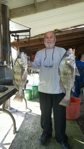 Biloxi Inshore Light Tackle Trip