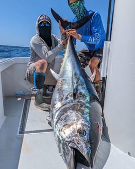 Bluefin Tuna Fishing in Dana Point, California