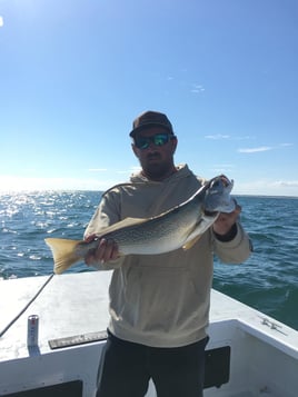 Inshore Trolling Trip