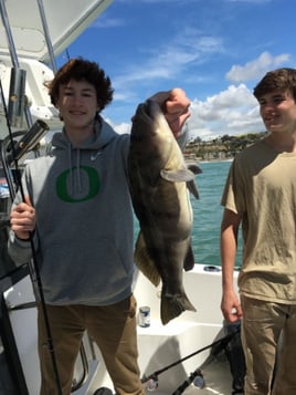 Scenic Trolling Trip