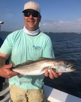 Inshore/Nearshore Trip - 22' Bay Boat