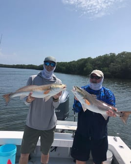 Inshore/Nearshore Trip - 22' Bay Boat