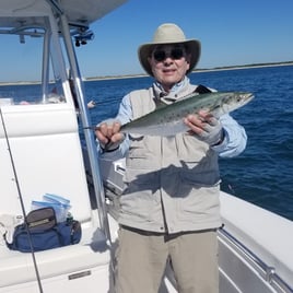 Inshore/Nearshore Trip - 22' Bay Boat