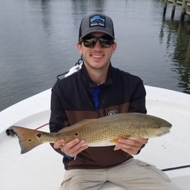 Inshore/Nearshore Trip - 22' Bay Boat