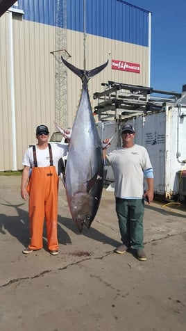 Bluefin on the Surf