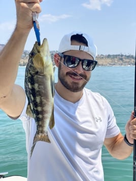 California Combo Catch