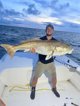 Trophy Red Drum Trip