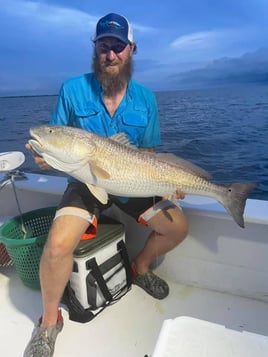 Trophy Red Drum Trip