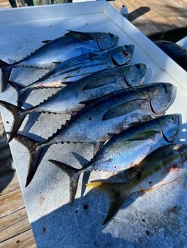 Key Largo Fishing Adventure