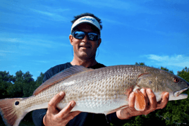 Rod-Bending Action in Cape Coral