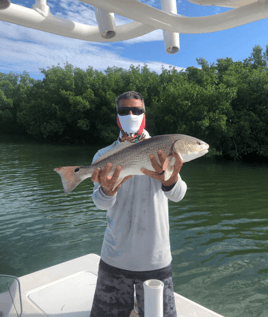 Rod-Bending Action in Cape Coral