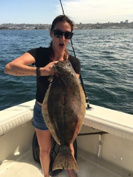 San Diego Bay Half Day Trip