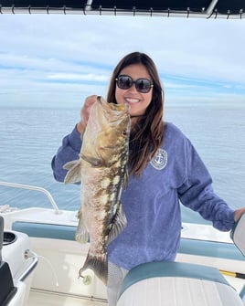 Calico Bass Fishing in San Diego, California