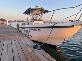 Coronado Islands Expedition