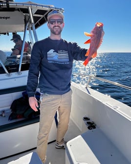 Coronado Islands Expedition