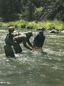 Crooked River Fly Fishing