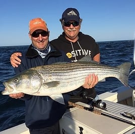 Striped Bass Fishing in Nantucket, Massachusetts