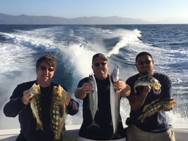 6-Hour Nearshore Mixed Bag – Weekend Trip