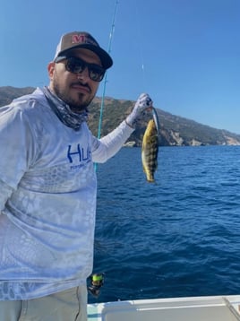 Full Day Catalina Island Run