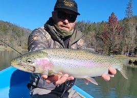 Rainbow Trout Fishing in Lewiston, California