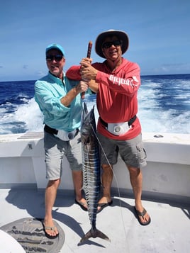 Wahoo Fishing in Destin, Florida