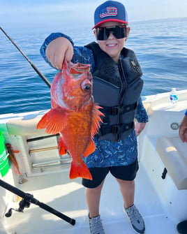 San Diego Fishing Fun