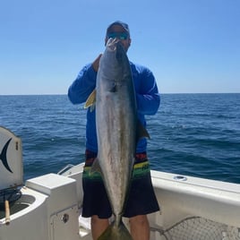 San Diego Fishing Fun